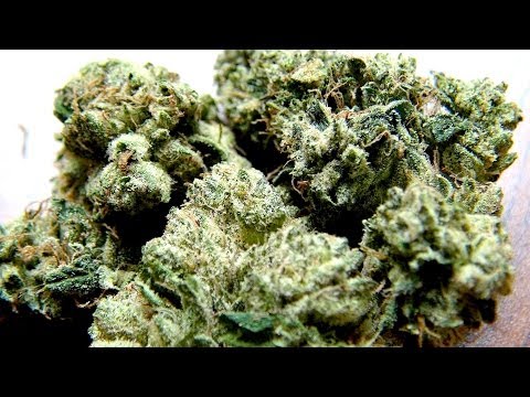 PURE KUSH STRAIN REVIEW