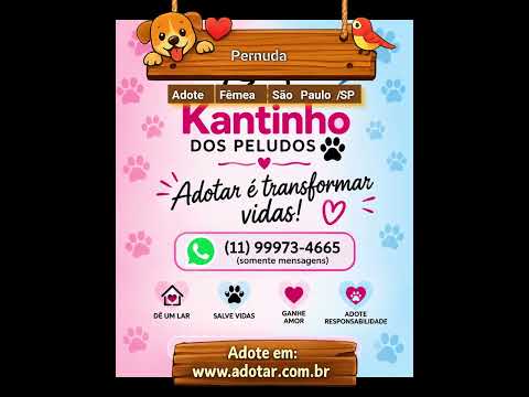 Vídeo de Pernuda