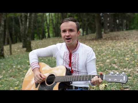 Tudor Gheorghe - Dorul calator (cover Andrei Albu)