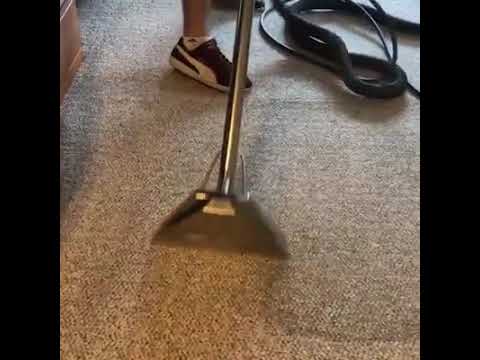 Always Green Carpet Cleaner NYC video.