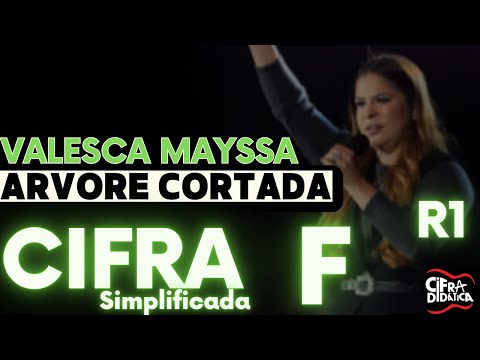 Novo Começo - Editora Árvore da vida