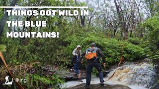 South Lawson Waterfalls Went WILD After Heavy Rain - Family Adventure