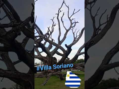 Villa Soriano #buenosaires #uruguay #motovlog #españa #portugal #brasil