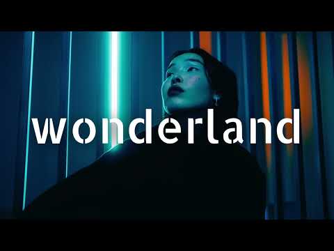 Sven Fields ft. Jan Liva - Never Knew