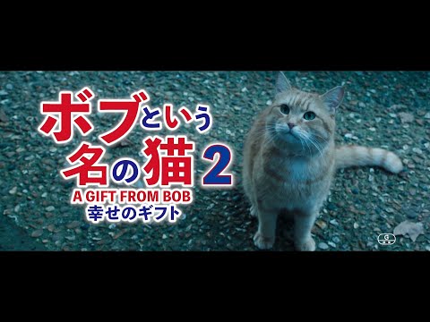 映画「ボブという名の猫２　幸せのギフト」2022年2月25日（金）全国公開 　世界中を希望と感動で包んだ【奇跡】の大ヒット猫映画、待望の続編！