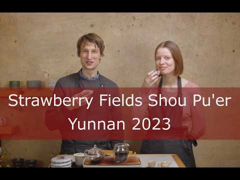 Tea Addicts 2025 – Shou Pu'er Strawberry Fields '23 Simao Yunnan China Dark Tea Ripe Puerh