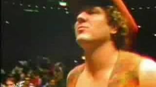 WWF/WWE History video - Kid Rock