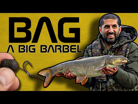 THIS RIG IS SO EASY BUT BARBEL CAN'T HANDLE IT! | ALI HAMIDI | ONE MORE CAST