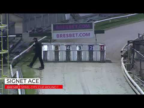 Signet Ace - BresBet Steel City Cup First Round