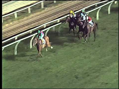 Galoppo 01/08/2015 - 2° corsa