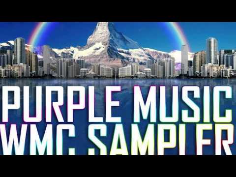 Alex Ander & Eric Powa B feat. Nicole Mitchell - Runaway (Original Mix) [Purple Music]