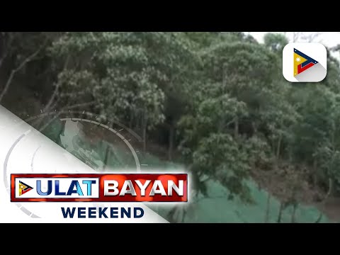 1M tree planting, isinagawa sa isang barangay sa Infanta, Quezon, dahil sa panganib ng landslides