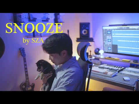 Snooze - SZA (Male Cover)