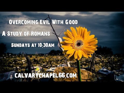 Romans Chapter 08:01-17 (07-28-2013)