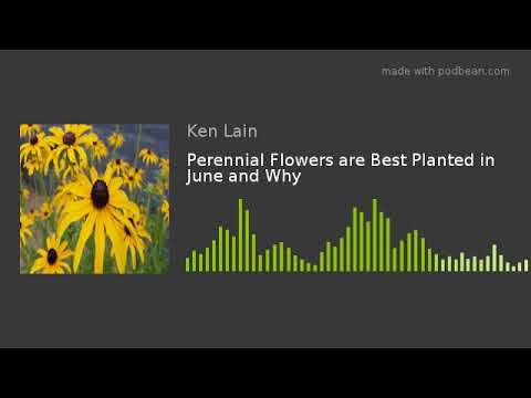 download lagu mp3 mp4 Blue Flowers Available In June, download lagu Blue Flowers Available In June gratis, unduh video klip Blue Flowers Available In June