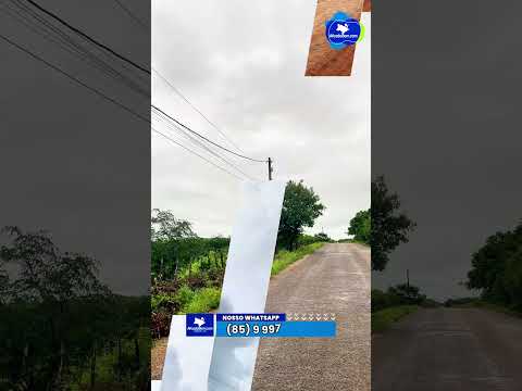 Um cenário vibrante onde a natureza exuberante ganha ainda mais vida!. #youtubeshorts #shorts