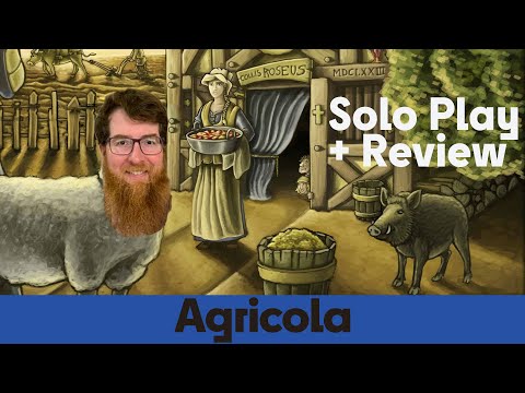 Agricola - Solo Board Game Playthrough & Review