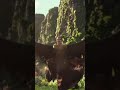 Aishwarya Rai Hollywood Movie Maleficent