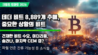  01/03) 테더 비트 8,889개 추매, 중요한 상황의 비트 건재한 비트 수요, 이더리움, 솔라나, 마지막 CEM 갭?