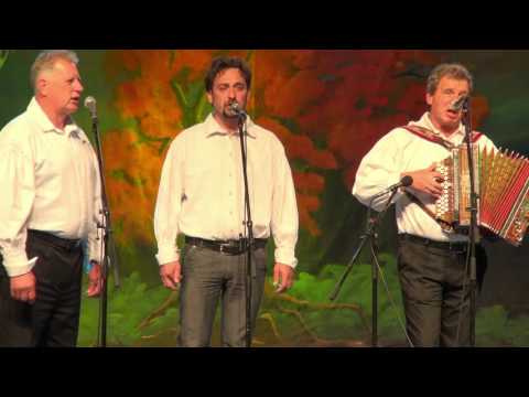 Tine Lesjak z Oplotničani - Bodi pozdravljena, rojstna vasica (v živo)