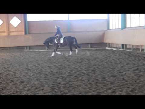 Lovelyn v. Laureus x Florestan