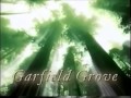 Garfield Grove CBS Television Distribution 2000 2015