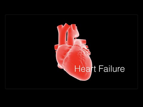 Innovative Therapies for Cardiovascular Disorders