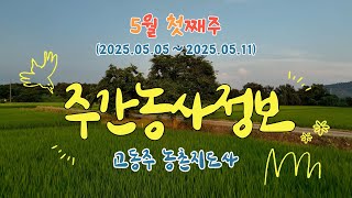 ✨[ 주간농사정보 ] 5월 1째주 (2025. 05. 05. ~ 05. 11.)