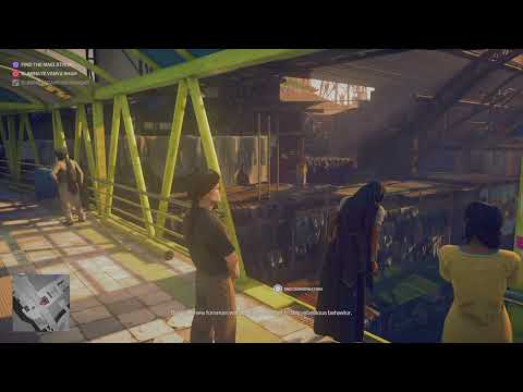 The Kashmirian strikes again!