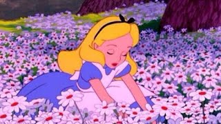 Labyrinth Ear - Lithium