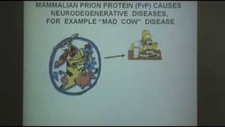 Yeast Models for Amyloid and Prions - Yury Chernoff