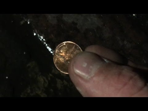 Worlds Greatest Kiting 116 - Tuesday