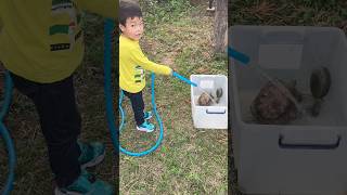 甥っ子の亀洗い