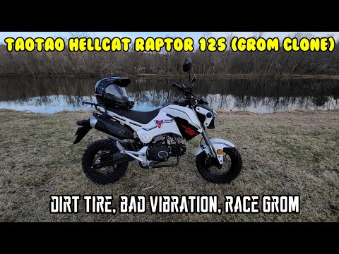 (E3) Hellcat Raptor dirt tire install, BAD vibration super easy fix. Honda Grom VS Clone race!
