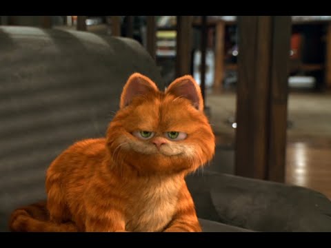 Garfield Kedinin Dünyası En Komik Sahneleri