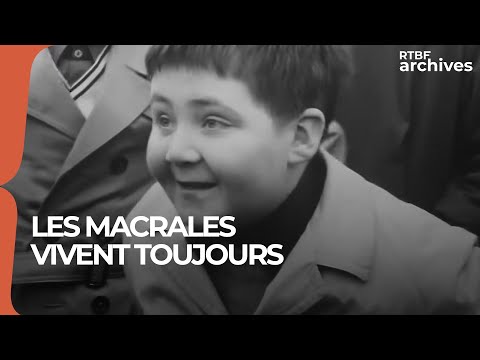 Les macrales vivent toujours ! - RTBF Archives