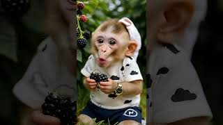 Download lagu Bagian 3 || monyet lucu lagi makan buah 🐵 #monyet #monyetlucu #shorts mp3 Download lagu Bagian 3 || monyet lucu lagi makan buah 🐵 #monyet #monyetlucu #shorts mp3