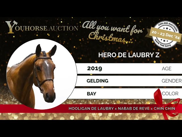 Hero de Laubry Z Showvideo
