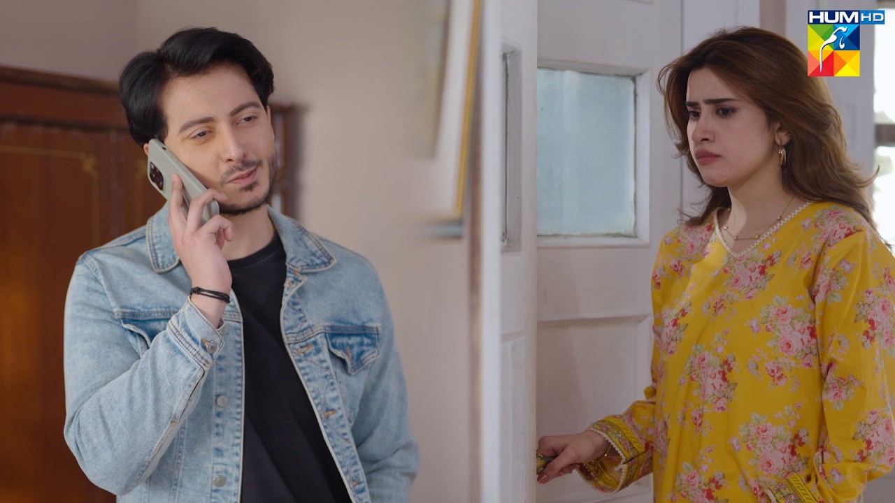 Sharik Larki Se Baat Karta Hua Range Haton Pakra Gaya..! #hinatariq - Aye Dil Aazma Nahin - HUM TV