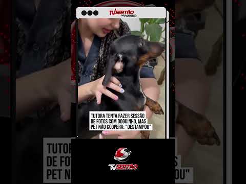 EXPECTATIVA X REALIDADE: Salsichinha se 