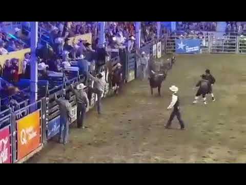 Festival Western De St-Tite 2017 - Rodeo Coupe Canada  - Premier Round