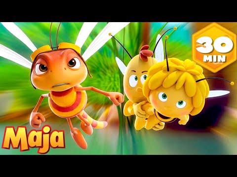 Die besten Sport-Episoden 🏏 🐝 Die Biene Maja | Ganze Folgen | Zeichentrickserie für Kinder