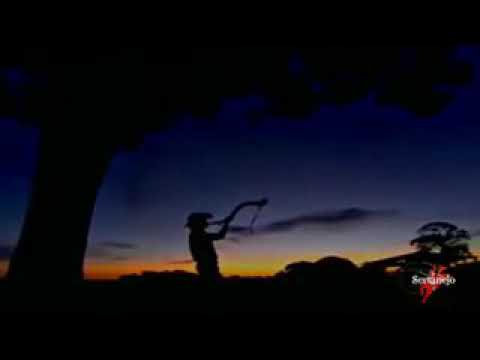 Moreno e Moreninho — João Boiadeiro (Clipe bruto)