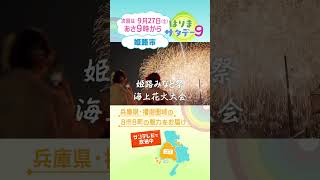 【はりまサタデー９】姫路みなと祭海上花火大会　開催！／はり姫のがん治療～安心な治療を地域から～