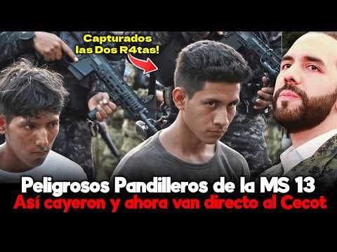 🛑 El Final Que Nadie Imaginaba… Pero Todos Querían