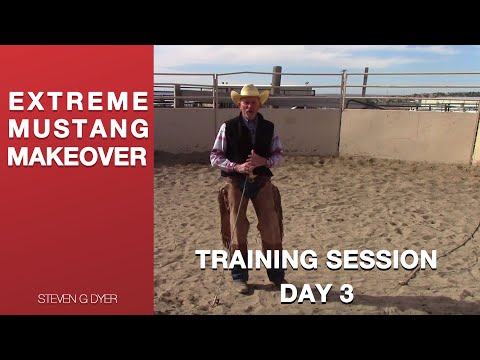 Wild Mustang Training Session- day 3 — Extreme Mustang Makeover — Horse Training