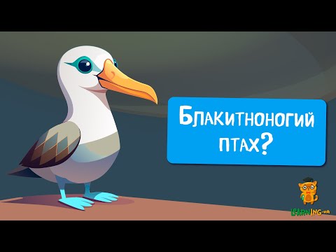 🍀 Дива природи. Явища навколо нас. Сула блакитнонога 🌏