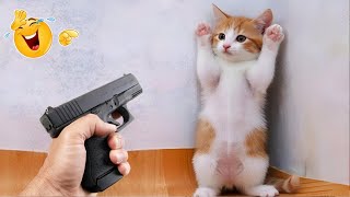 Funny Moments Of Cats And Dogs😹🐶 Try Not To Laugh😆 Part 4