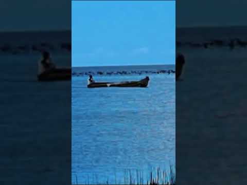 Visita nuestras playas en Morrito, Rio San Juan. #fypシ #viralvideo #viralshorts #MorritoTV