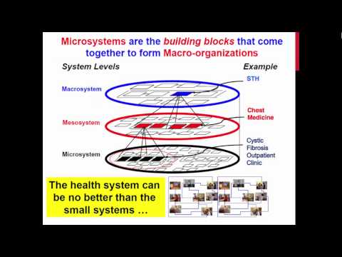 Clinical Microsystems An Overview